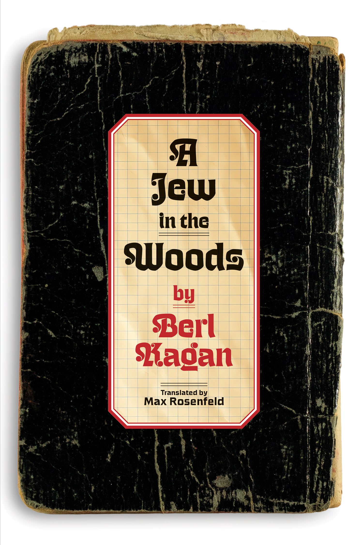 A Jew in the Woods: Pages from a Diary by Berl Kagan