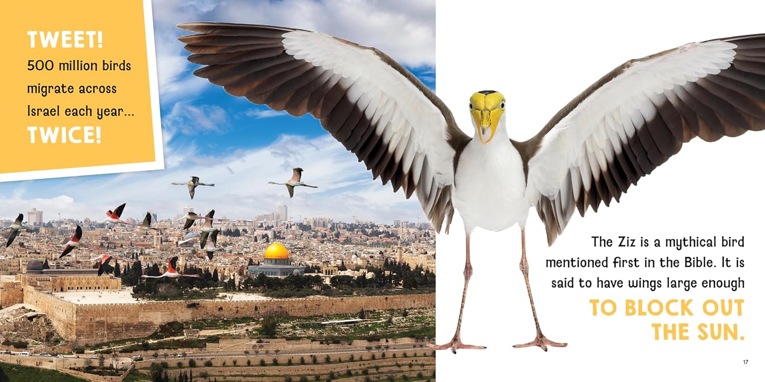 Across the Jewniverse: 180 Totally Random Jewish Facts by Kerry Olitzky