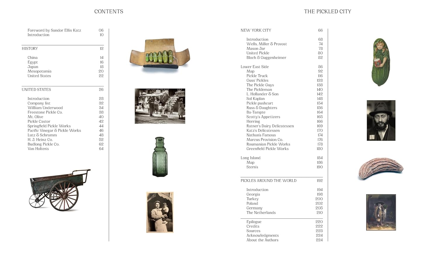 The Pickled City: The Story of New York Pickles by Paul van Ravestein and Monique Mulder