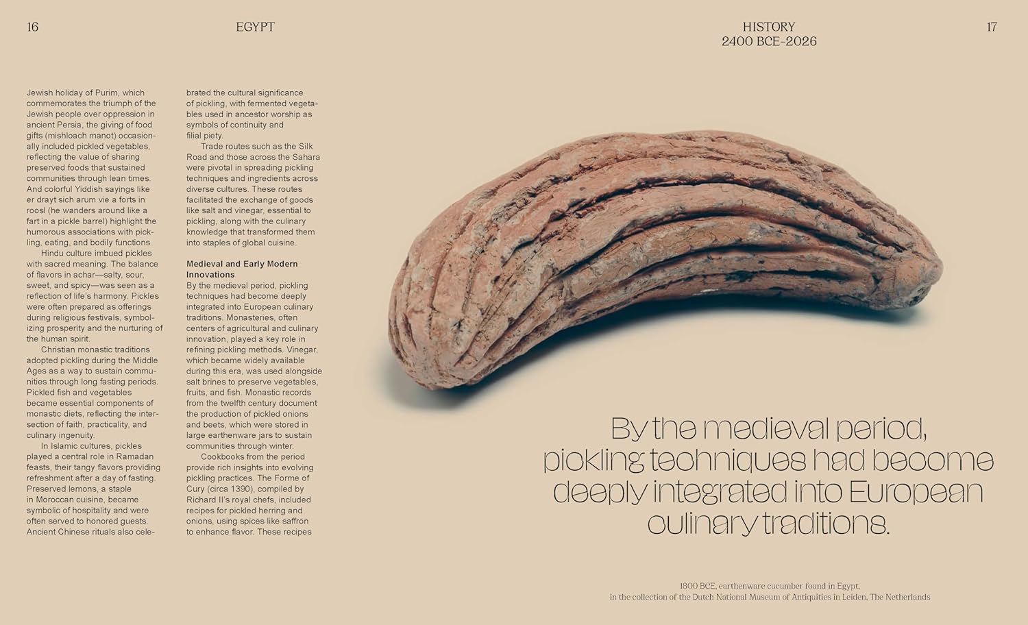 The Pickled City: The Story of New York Pickles by Paul van Ravestein and Monique Mulder