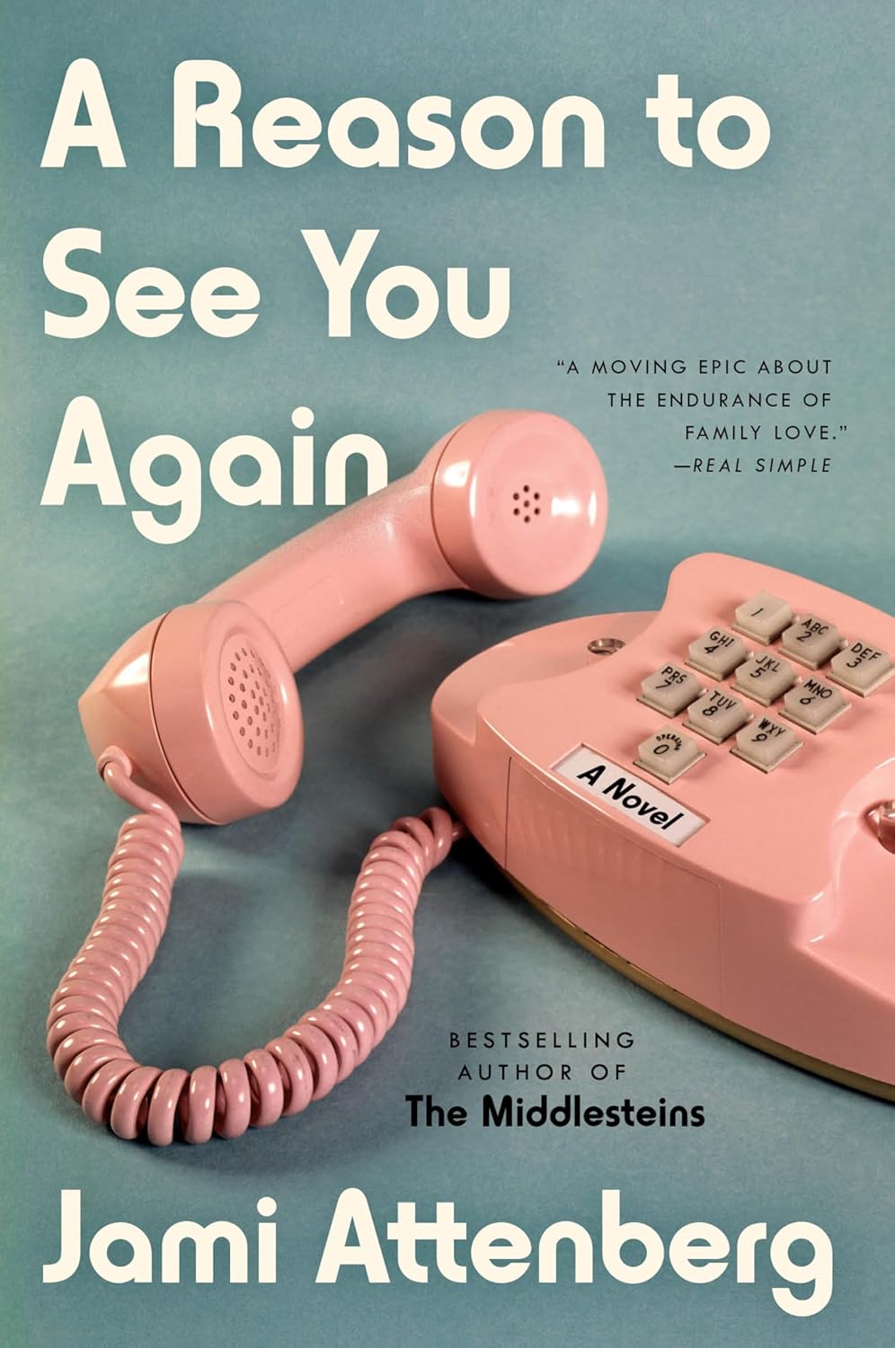 A Reason to See You Again: A Novel by Jami Attenberg