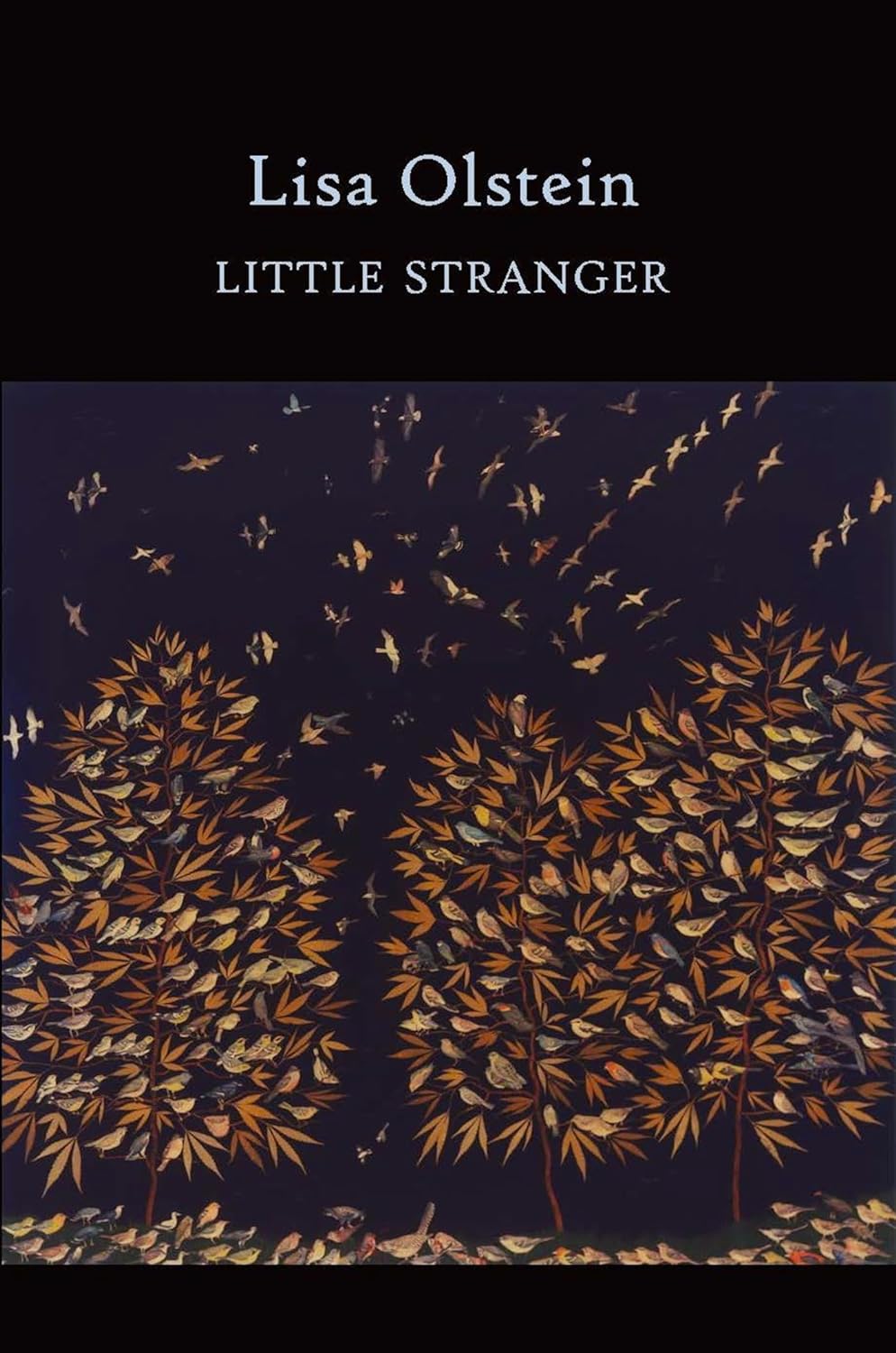 Little Stranger by Lisa Olstein