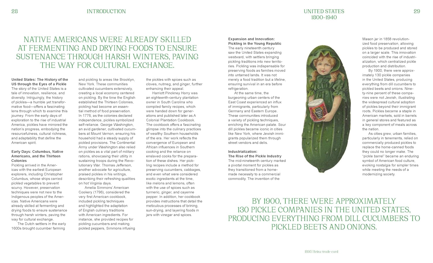 The Pickled City: The Story of New York Pickles by Paul van Ravestein and Monique Mulder
