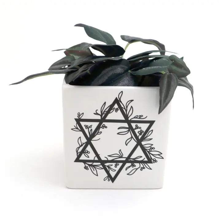 Star of David Planter