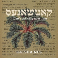 Don't Ask Silly Questions by Katsha'nes