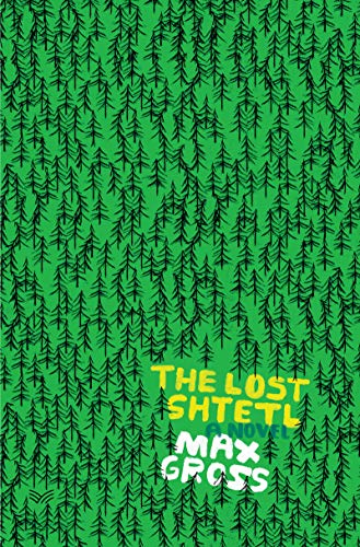 The Lost Shtetl: A Novel Paperback by Max Gross