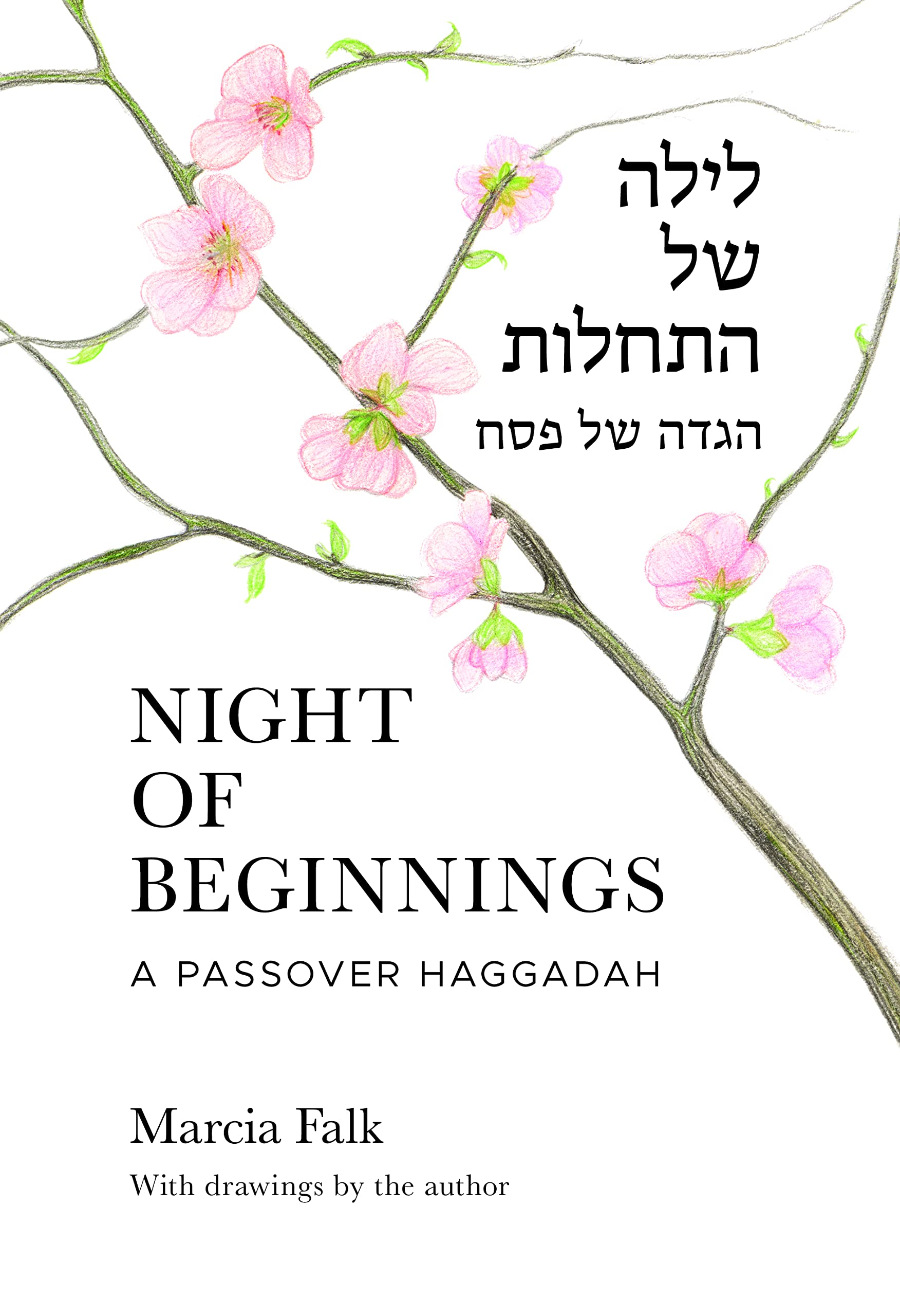 Night of Beginnings: A Passover Haggadah by Marcia Falk