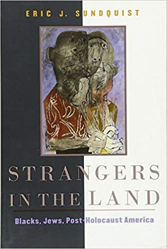 Strangers in the Land: Blacks, Jews, Post-Holocaust America by Eric Sundquist